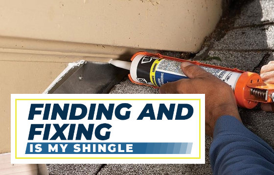 Pro Roofing - Finding and Fixing a Leaky Roof - New Minds Group