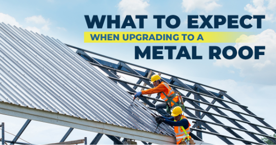 Pro Roofing - What to Expect When Upgrading to a Metal Roof - New Minds Group